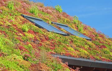 Penbeagle living roof systems